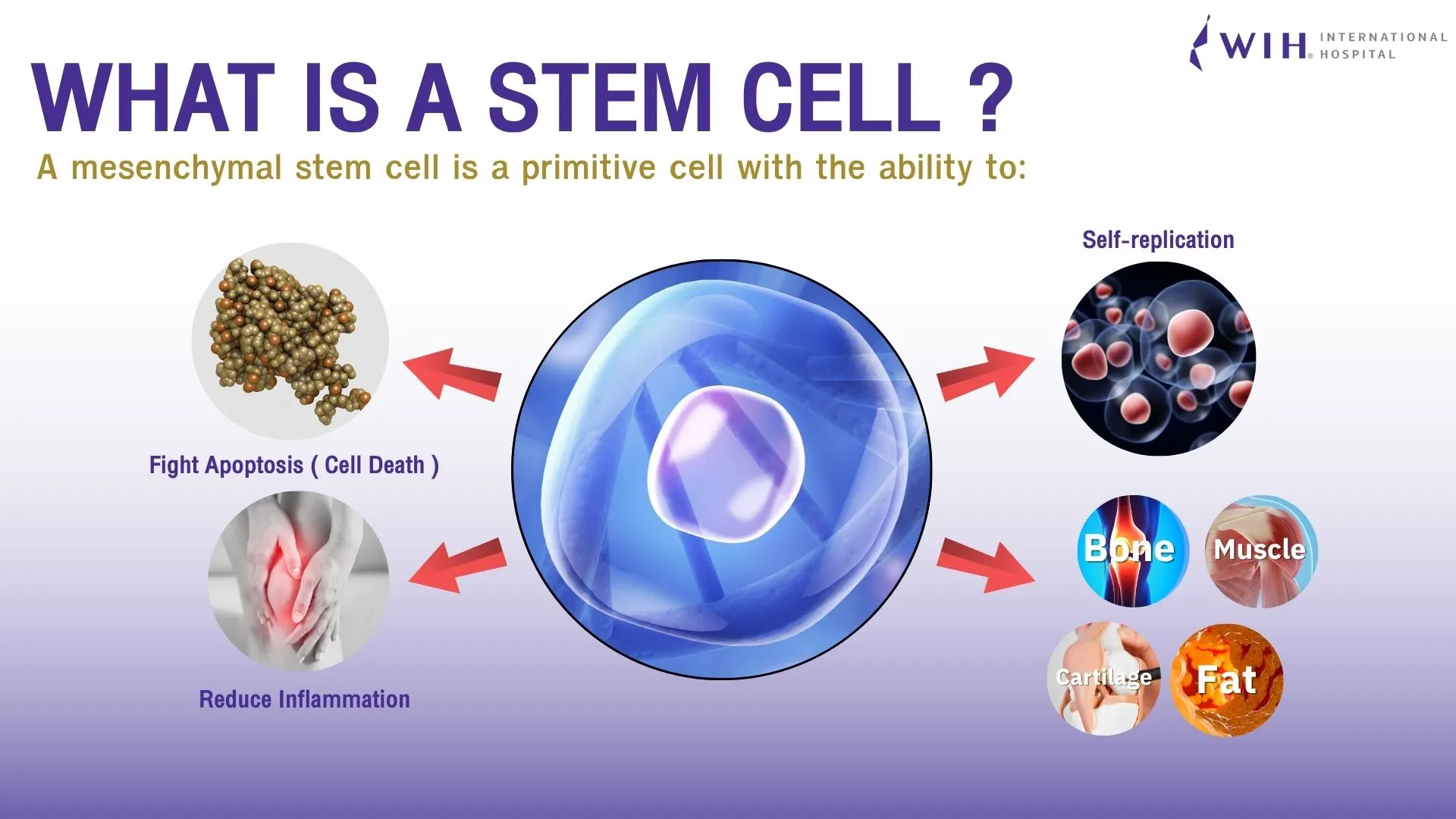 Cell Therapy