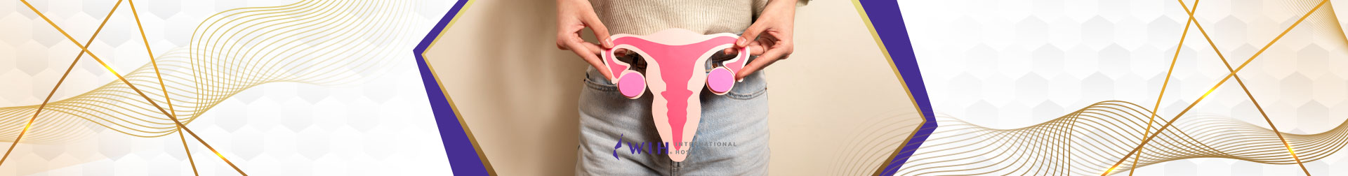 Myomectomy Uterine Fibroid Treatment