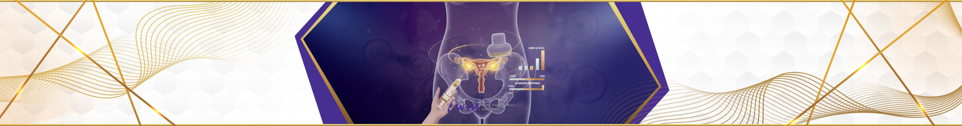 Ovarian Regenerative Therapy Infertility